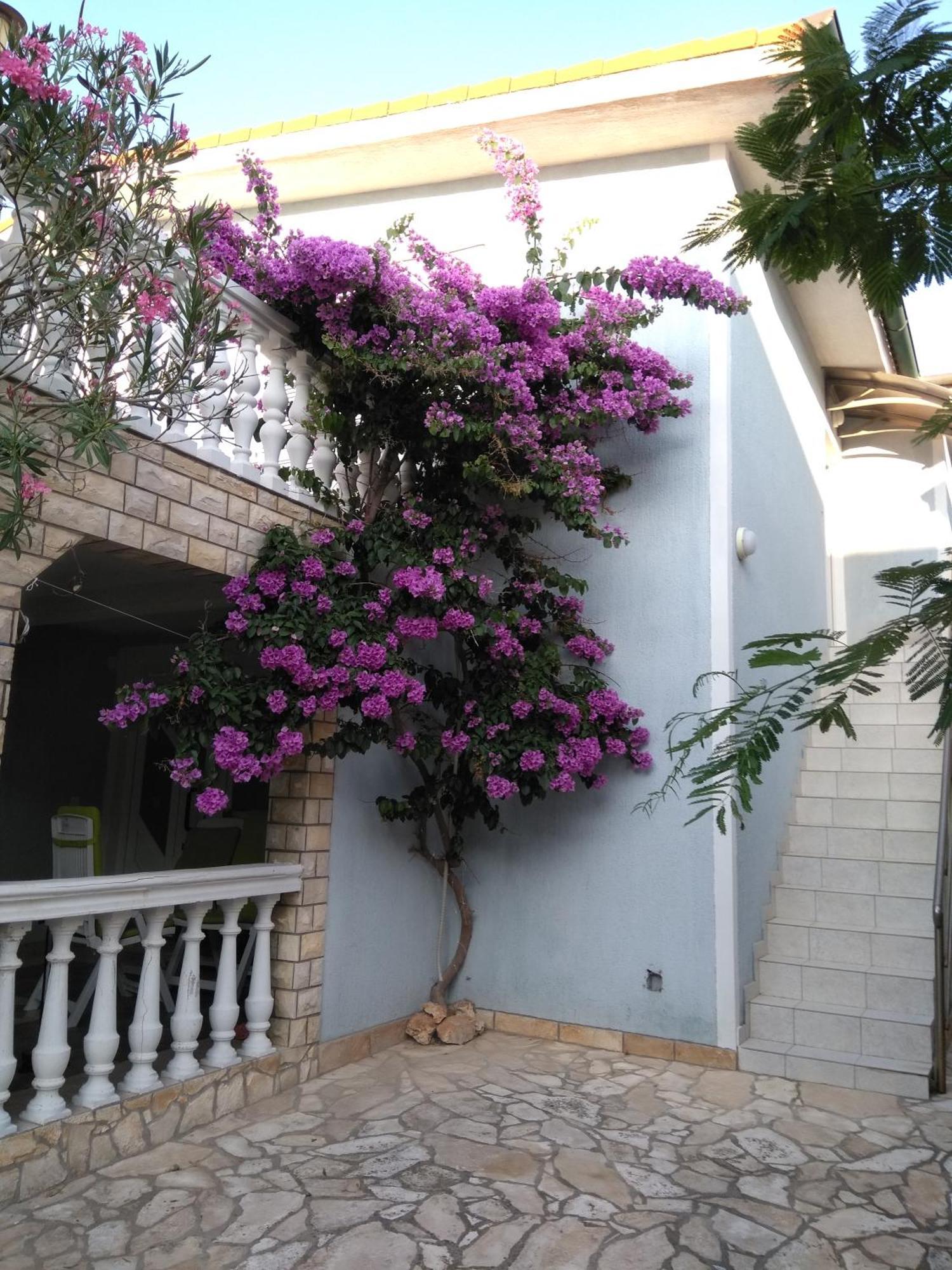 Apartmani Korade Vir Ngoại thất bức ảnh